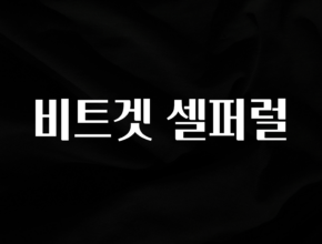 꾸준한 인기 비트겟 셀퍼럴 관심이 뜨거운 이유 입니다