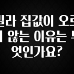 업뎃 정보 빌라 집값이 오르지 않는 이유는 무엇인가요? 리뷰가 많습니다