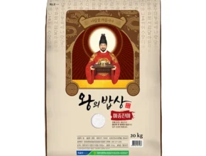 꾸준한 인기 방송에서 봤 쌀20kg 잠깐 확인해보세요