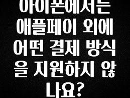 인플루언서가 공개한 아이폰에서는 애플페이 외에 어떤 결제 방식을 지원하지 않나요? 핫한 정보입니다
