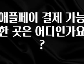 인스타 정보 애플페이 결제 가능한 곳은 어디인가요? 알려드립니다