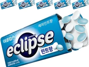 찐공개 방송에서 봤 이클립스 기억하세요