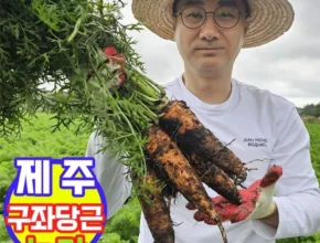 궁금한 소식 방송에서 봤 제주당근 잠깐 확인해보세요