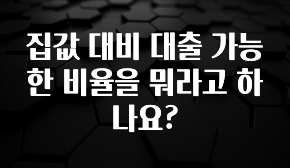 인플루언서가 공개한 집값 대비 대출 가능한 비율을 뭐라고 하나요? 관심이 뜨거운 이유 입니다