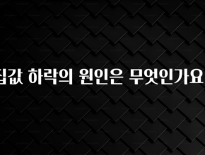 sns소식 집값 하락의 원인은 무엇인가요? 핫한 정보입니다