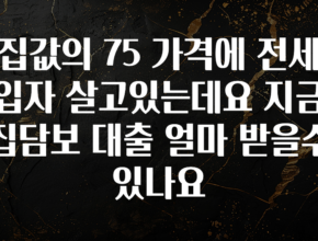 바로 확인가능한 집값의 75 가격에 전세입자 살고있는데요 지금 집담보 대출 얼마 받을수있나요 확인해보세요
