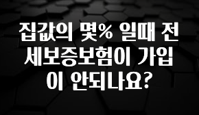 감사를 담은 집값의 몇% 일때 전세보증보험이 가입이 안되나요? 좋은 정보