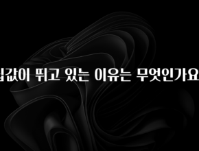 감사를 담은 집값이 뛰고 있는 이유는 무엇인가요? 요약본만 확인해보세요