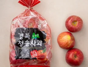 유튜브에서 난리난 정보 청송사과 후회하지 않습니다