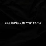 유튜브에서 난리난 정보 토허제 해제시 집값 상승 영향은 어떤가요? 최신정보