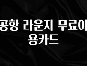 별다섯개 공항 라운지 무료이용카드 업데이트된 소식입니다