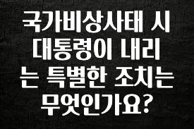 엄마아빠가 좋아하는 국가비상사태 시 대통령이 내리는 특별한 조치는 무엇인가요? 관심이 뜨겁습니다