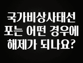 이번 선물은 꼭 국가비상사태선포는 어떤 경우에 해제가 되나요? 아주 좋은 정보입니다