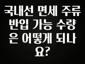 추가정보 떳다 국내선 면세 주류 반입 가능 수량은 어떻게 되나요? 업데이트된 소식입니다
