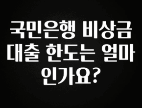 놓치지말고 국민은행 비상금대출 한도는 얼마인가요? 관심이 뜨거운 이유 입니다
