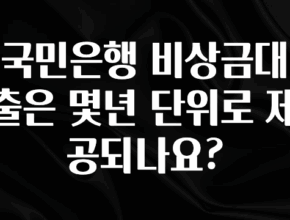 진심을 담은 국민은행 비상금대출은 몇년 단위로 제공되나요? 실사용 후기
