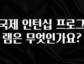 정성을 다하는 국제 인턴십 프로그램은 무엇인가요? 후회하지 않습니다