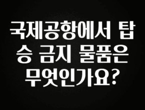 추가정보 떳다 국제공항에서 탑승 금지 물품은 무엇인가요? 알려드립니다