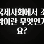 인스타 정보 국제사회에서 조약이란 무엇인가요? 지금 바로 공개합니다