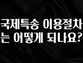혜자소식 떳다 국제특송 이용절차는 어떻게 되나요? 놓치지마세요