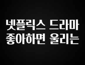 엄마아빠가 좋아하는 넷플릭스 드라마 좋아하면 울리는 리뷰 해보겠습니다