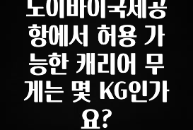 역.대.급 이벤트 노이바이국제공항에서 허용 가능한 캐리어 무게는 몇 KG인가요? 전합니다