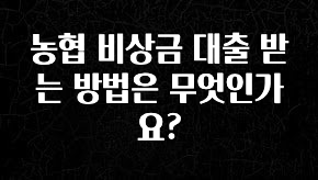 정성을 담은 농협 비상금 대출 받는 방법은 무엇인가요? 바로 소개합니다.