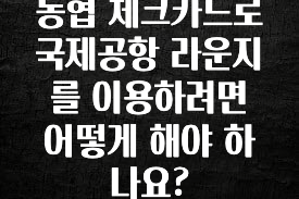 인기좋은 이유 농협 체크카드로 국제공항 라운지를 이용하려면 어떻게 해야 하나요? 관심이 뜨겁습니다