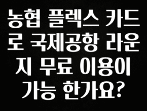 품절이 임박한 농협 플렉스 카드로 국제공항 라운지 무료 이용이 가능 한가요? 정직하게 소개해보겠습니다