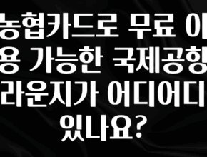 혹시 찾고계셨나요? 농협카드로 무료 이용 가능한 국제공항 라운지가 어디어디 있나요? 한 번에 알려드립니다