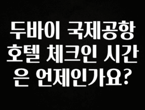일단 무조건 저장하기 두바이 국제공항 호텔 체크인 시간은 언제인가요? 클릭해보세요