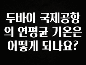 품절이 임박한 두바이 국제공항의 연평균 기온은 어떻게 되나요? 관심이 뜨거운 이유 입니다
