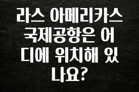 가성비 정보 라스 아메리카스 국제공항은 어디에 위치해 있나요? 실사용 후기