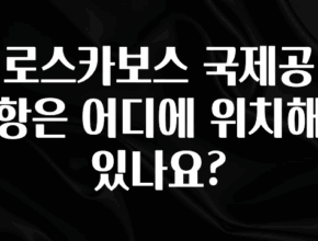 바로 확인가능한 로스카보스 국제공항은 어디에 위치해 있나요? 리뷰 해보겠습니다
