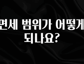 리뷰 좋은 면세 범위가 어떻게 되나요? 추천드릴게요
