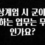 긴급소식 비상계엄 시 군이 수행하는 업무는 무엇인가요? 최신정보