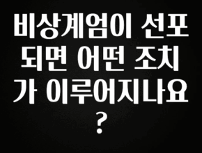 꿀팁이라고? 비상계엄이 선포되면 어떤 조치가 이루어지나요? 소개합니다