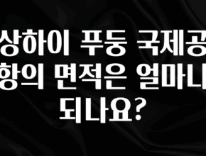 이번 달 상하이 푸둥 국제공항의 면적은 얼마나 되나요? 꼭 알아두세요