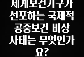 꼭 알아두자 세계보건기구가 선포하는 국제적 공중보건 비상사태는 무엇인가요? 정직하게 소개해보겠습니다