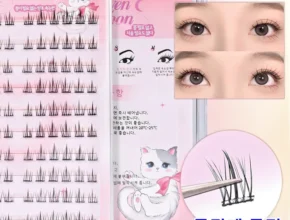 빼박 필수 속눈썹 핫한 정보입니다