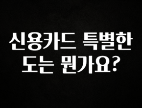 인스타 정보 신용카드 특별한도는 뭔가요? 후회하지 않습니다
