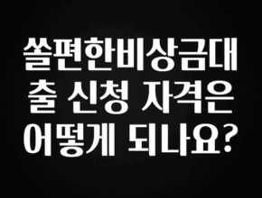 NEW 떳음 쏠편한비상금대출 신청 자격은 어떻게 되나요? 실사용 후기