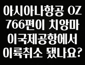 찐공개 아시아나항공 OZ766편이 치앙마이국제공항에서 이륙취소 됐나요? 좋은 정보