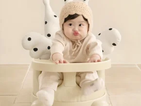 이렇게 달라졌다고? 에시앙범보의자 한 번에 알려드립니다