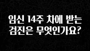 정성을 다하는 임신 14주 차에 받는 검진은 무엇인가요? 리뷰 해보겠습니다