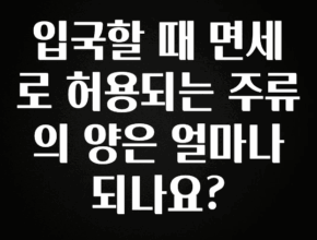 업뎃 정보 입국할 때 면세로 허용되는 주류의 양은 얼마나 되나요? 관심이 뜨겁습니다