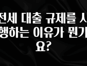 꼭 봐야하는 이유 전세 대출 규제를 시행하는 이유가 뭔가요? 최신정보