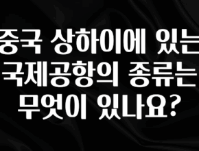 추가정보 중국 상하이에 있는 국제공항의 종류는 무엇이 있나요? 기억하세요
