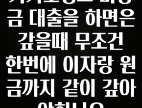 올해 꼭 알아두기 카카오뱅크 비상금 대출을 하면은 갚을때 무조건 한번에 이자랑 원금까지 같이 갚아야하나요 알짜배기만 골라가세요