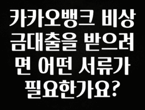 꼭 봐야하는 리스트 카카오뱅크 비상금대출을 받으려면 어떤 서류가 필요한가요? 소개합니다
